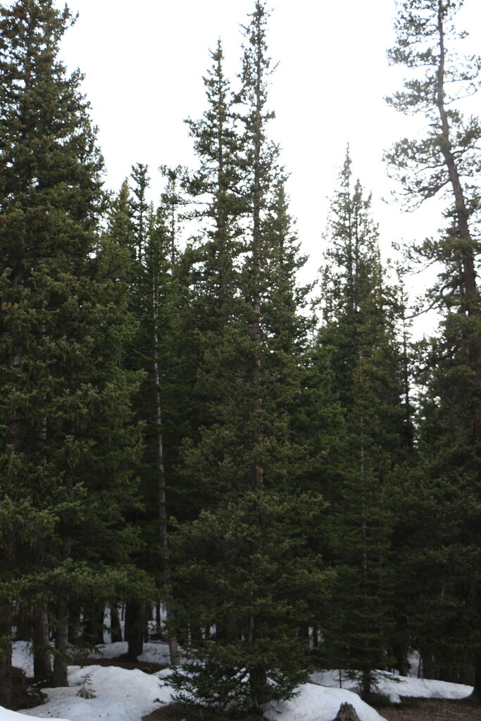 Photo 33 of 57