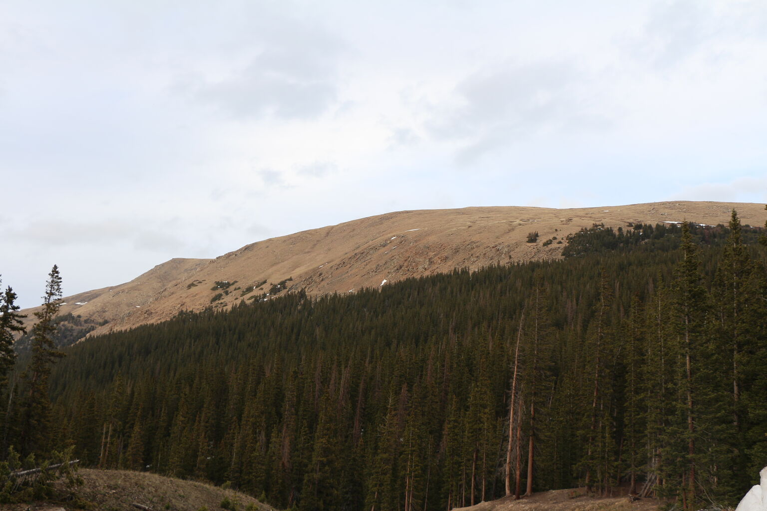 Photo 47 of 57
