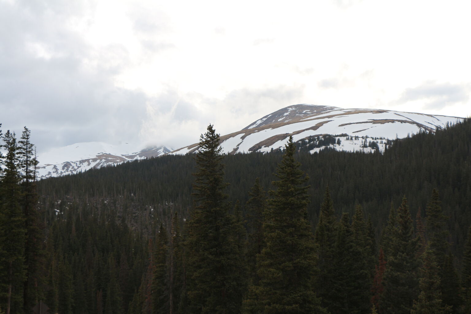 Photo 48 of 57