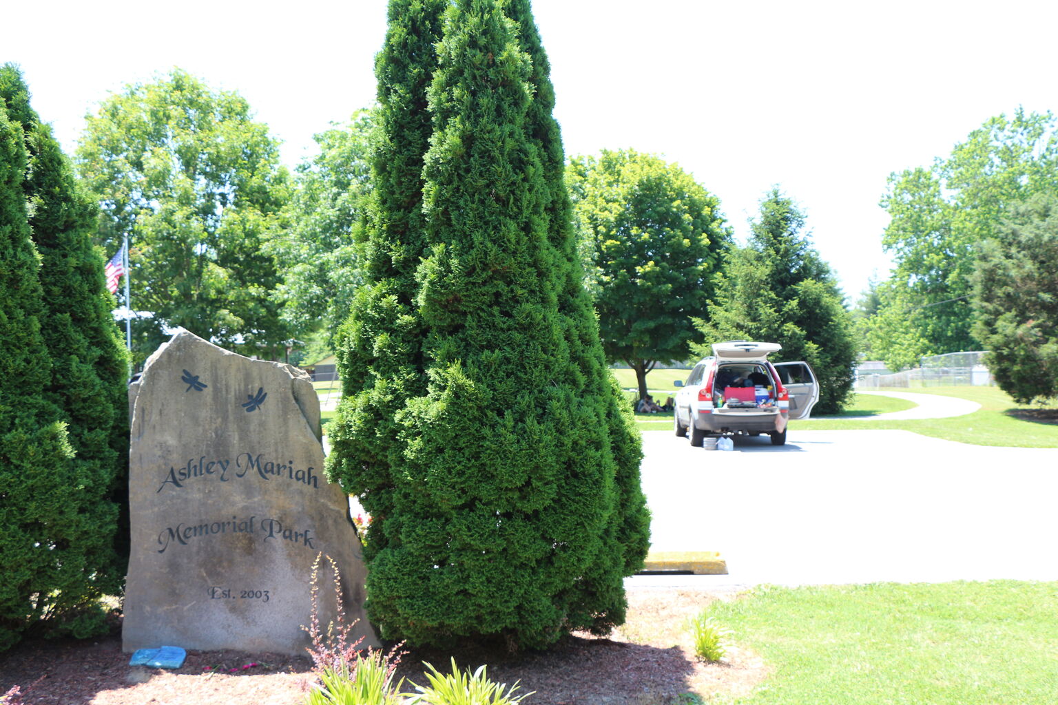 Photo 7 of 26