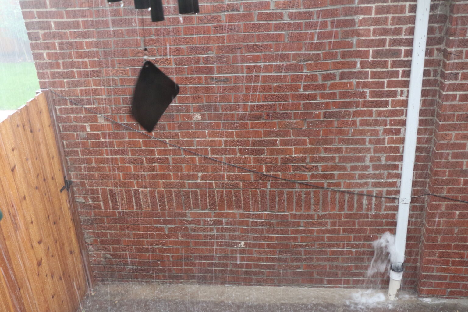 Photo 5 of 12