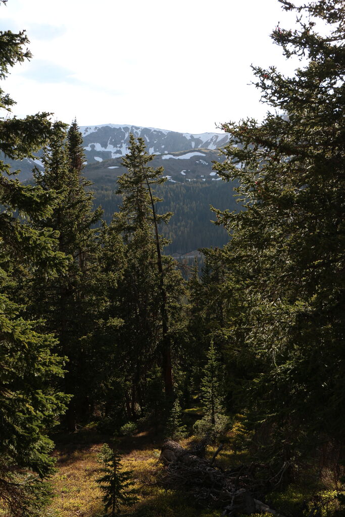 Photo 42 of 59