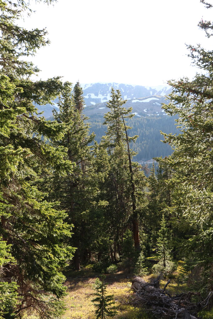 Photo 43 of 59