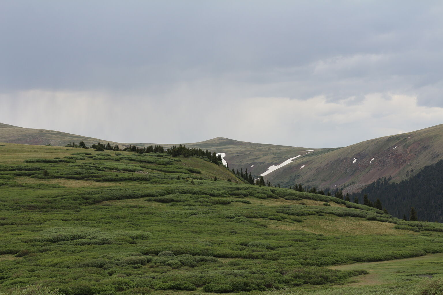Photo 11 of 40