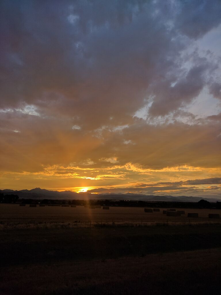 Photo 5 of 11