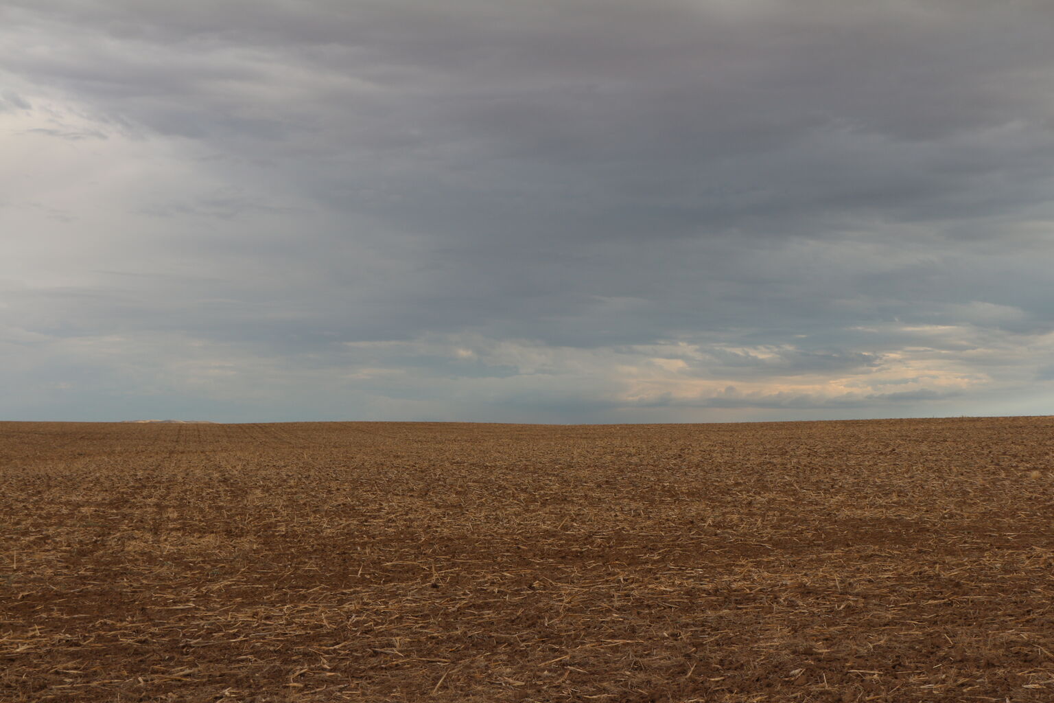 Photo 23 of 51
