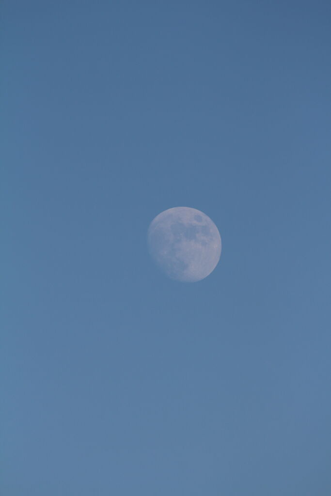 Photo 24 of 116