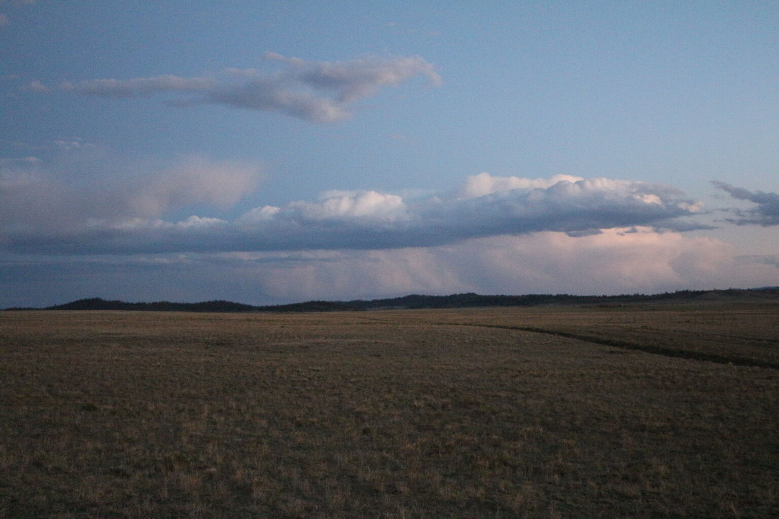 Photo 98 of 116