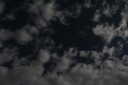 The Stars...