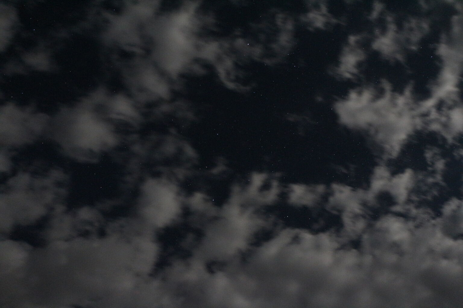 The Stars...