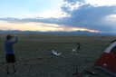 Dead Kite