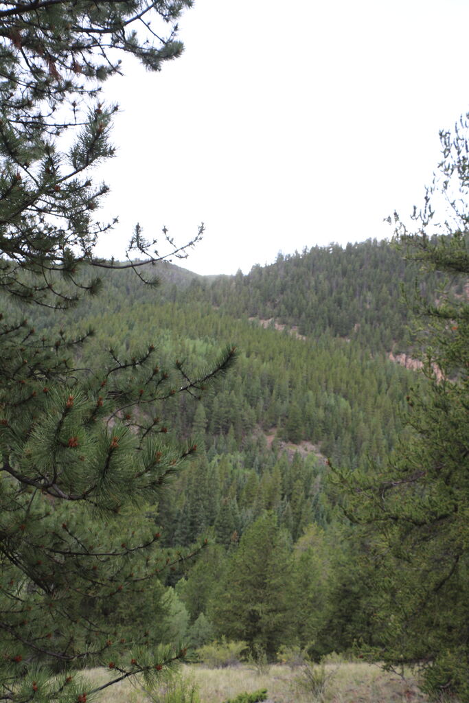 Photo 6 of 32