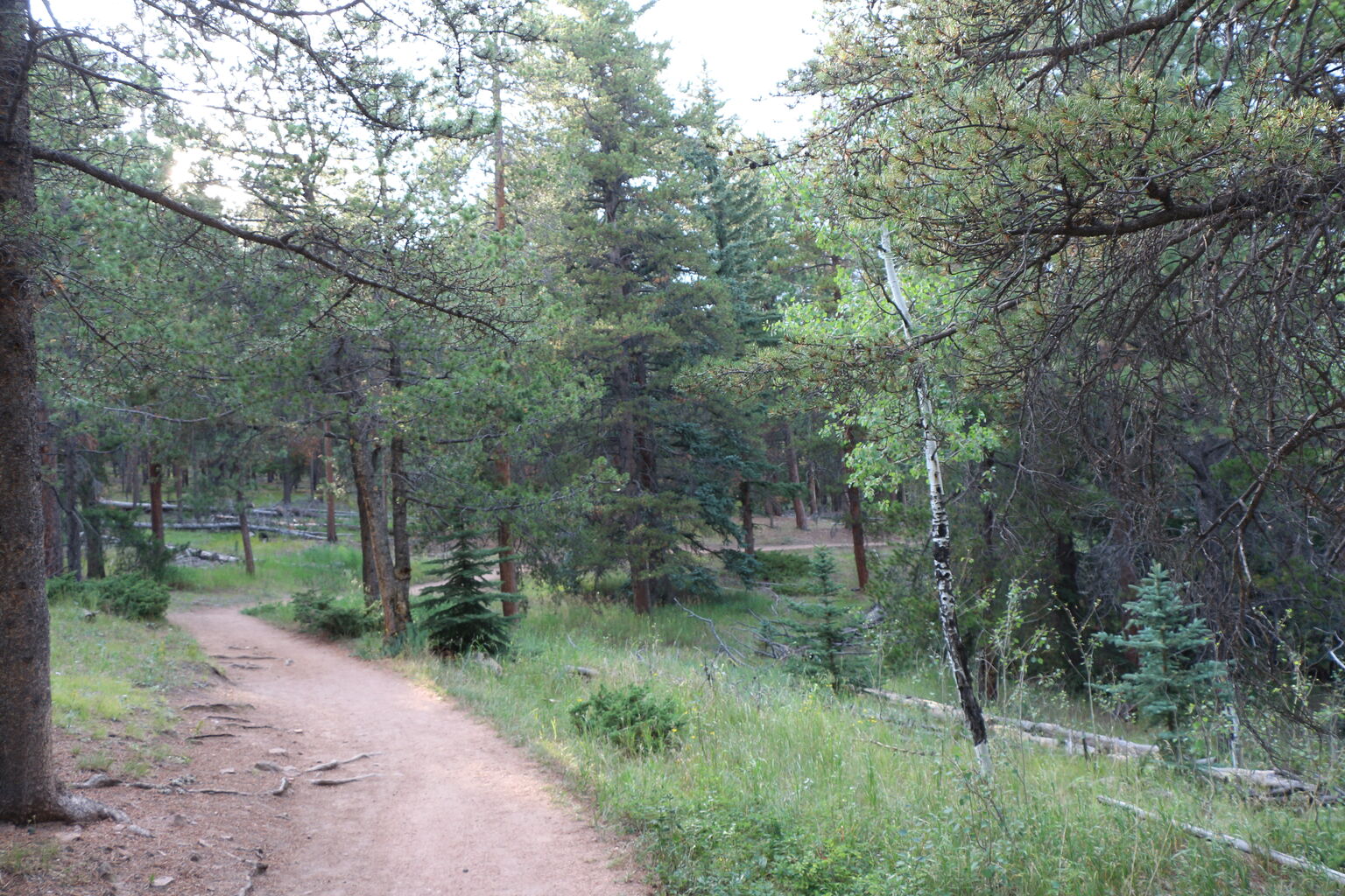 Photo 8 of 26