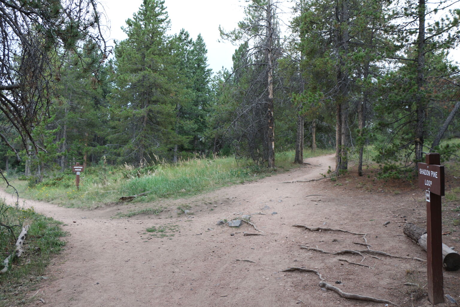 Photo 20 of 26