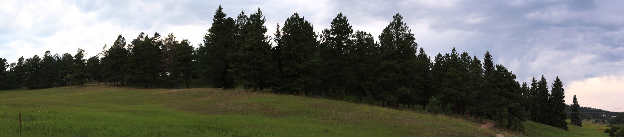 Photo 3 of 26