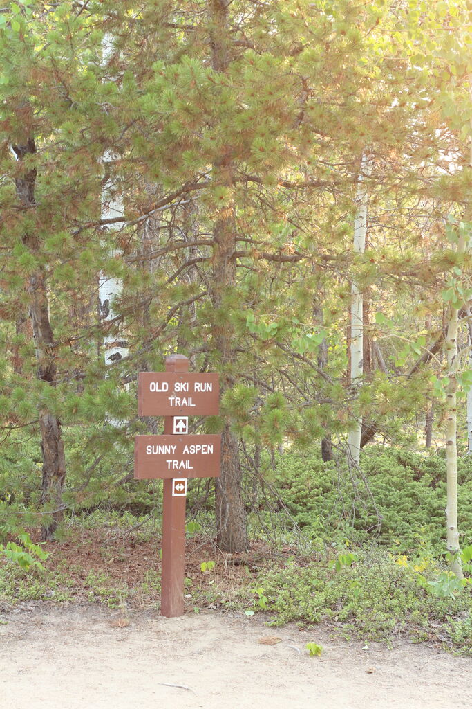 Photo 9 of 22