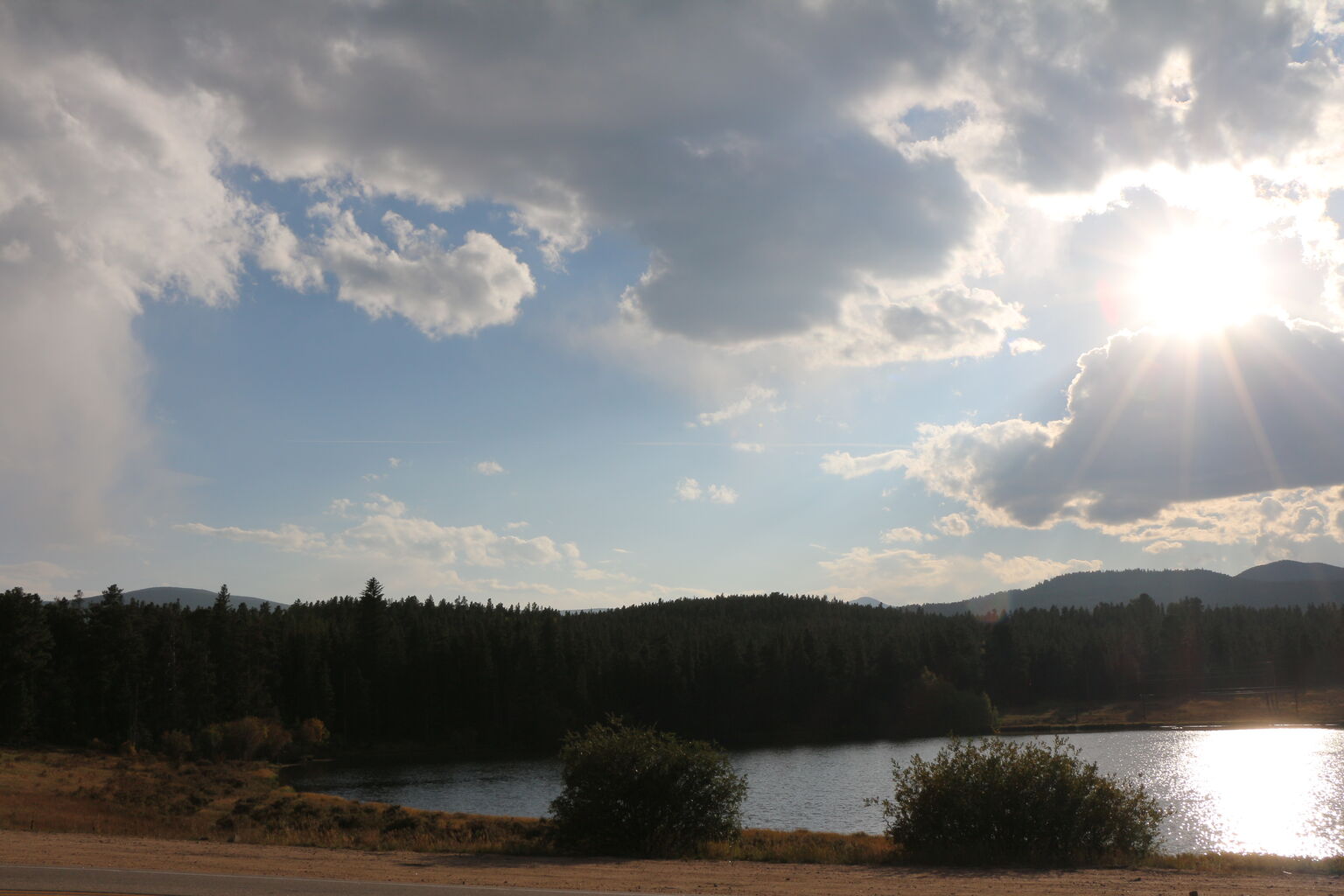 Photo 10 of 31