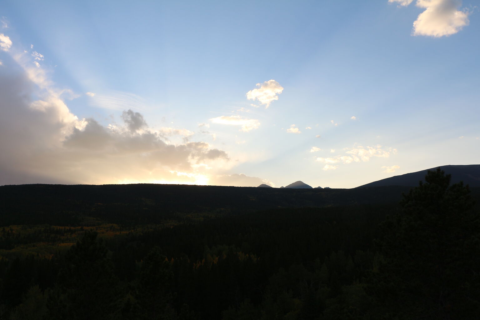 Photo 24 of 31