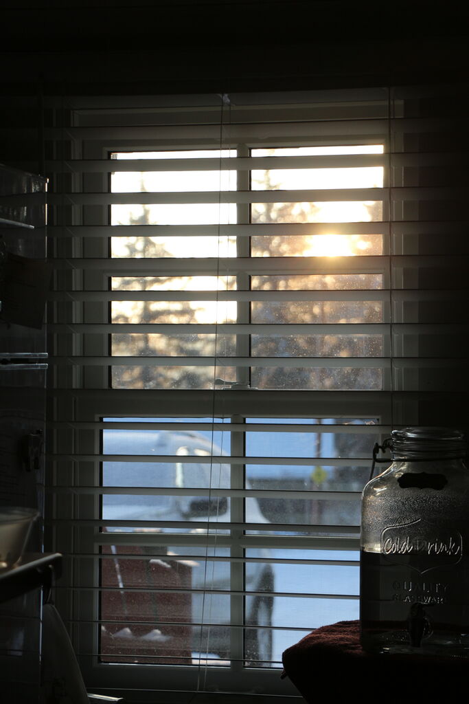 Photo 2 of 2