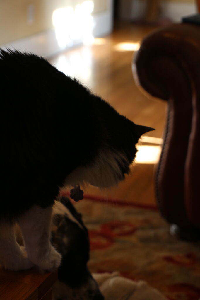Photo 17 of 83
