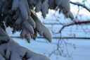 Photo 7 of 10
