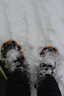 First Try of the Snowshoes!