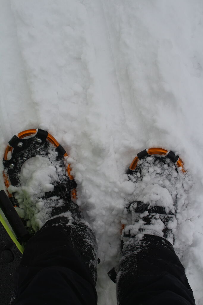 First Try of the Snowshoes!