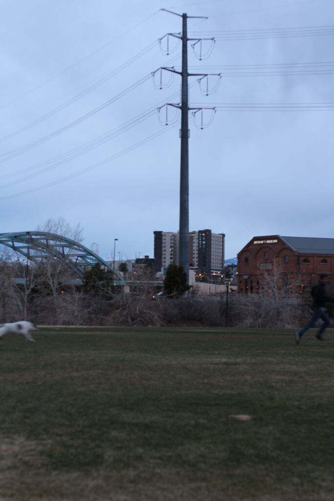 Photo 19 of 25