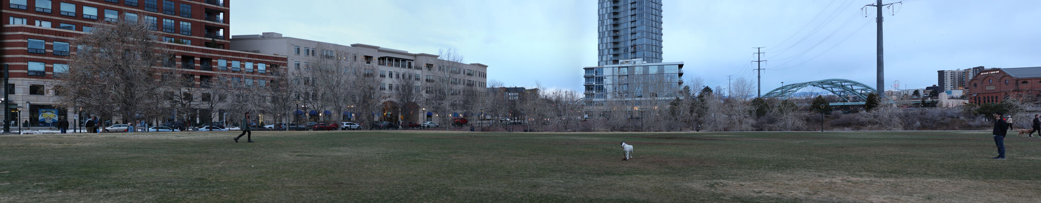 Photo 20 of 25