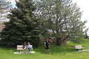 Photo 17 of 66