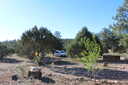 Photo 3 of 61
