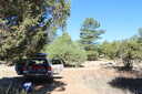 Photo 6 of 61