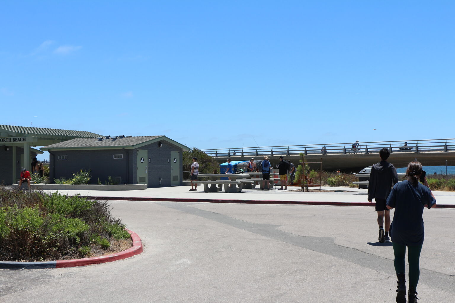 Torrey Pines Beach