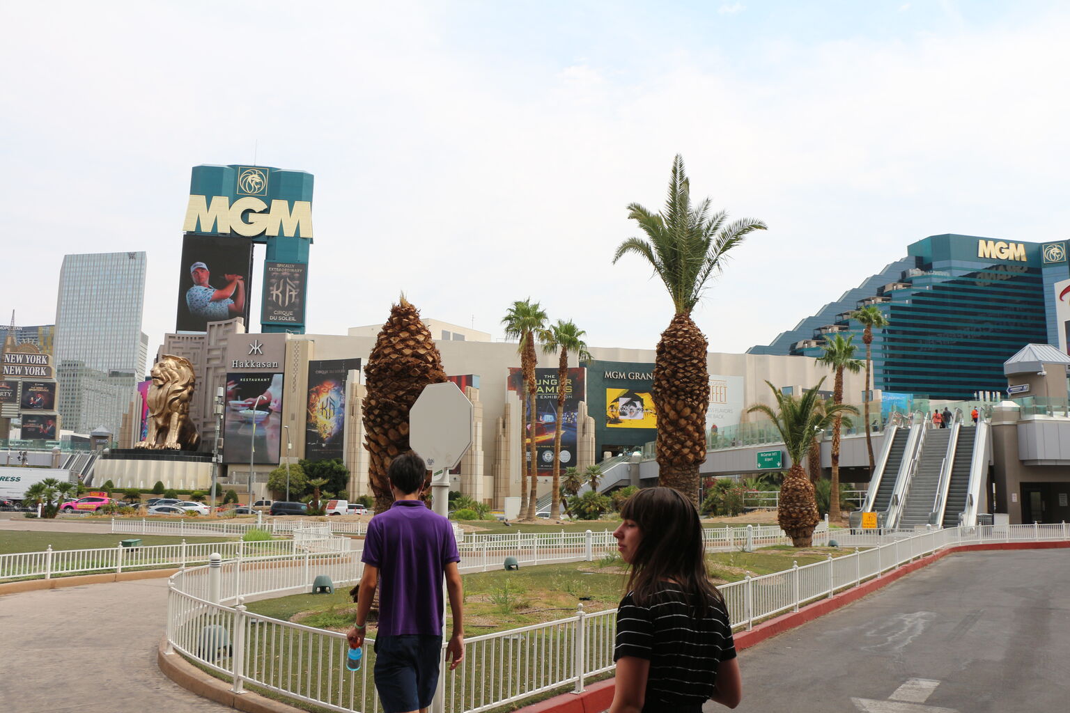 Exploring MGM