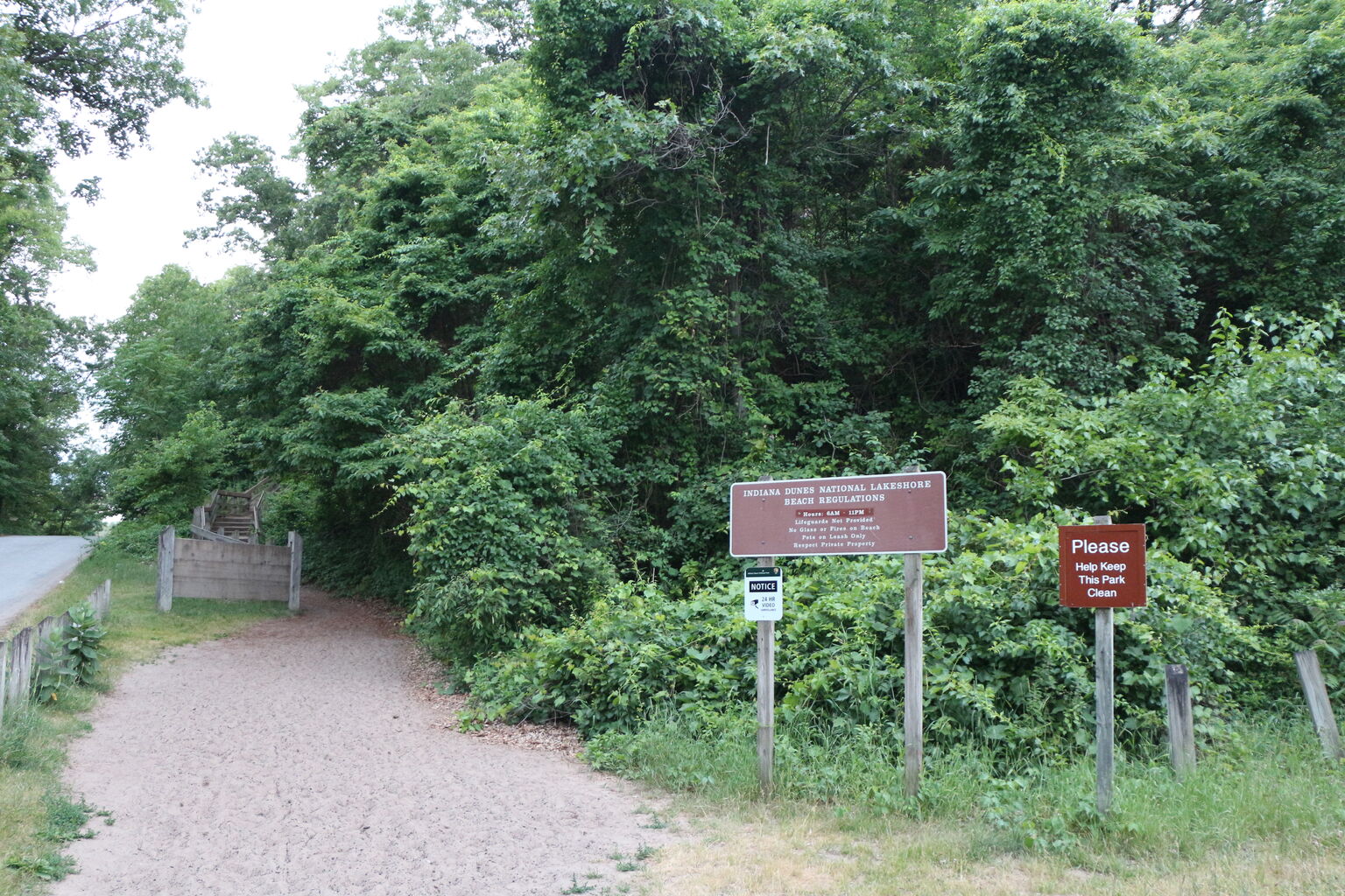 Indiana Sand Dunes