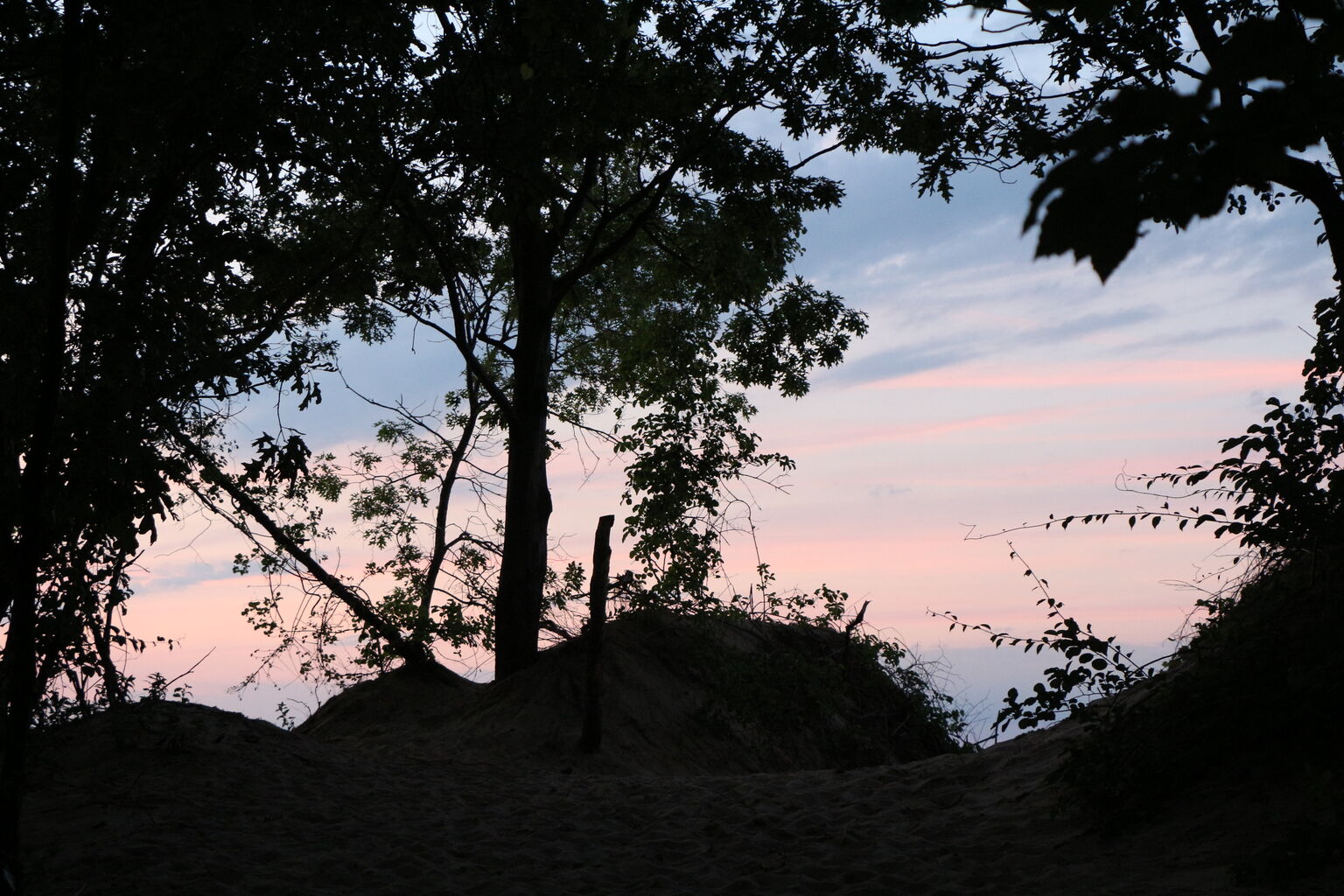Photo 11 of 21