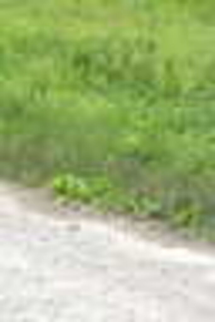 Photo 11 of 21