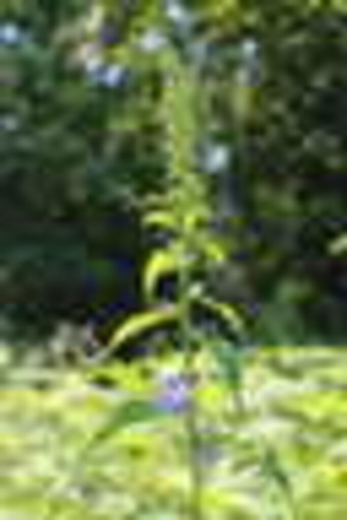 Photo 16 of 21