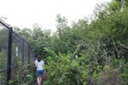 Photo 38 of 71