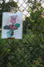 Photo 39 of 71