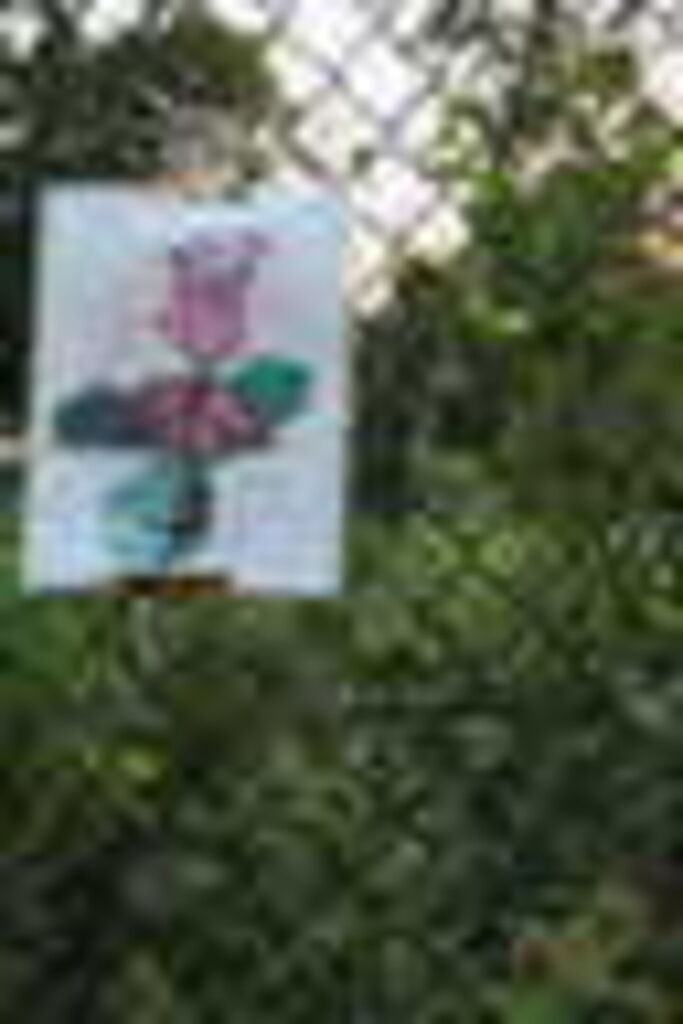 Photo 39 of 71