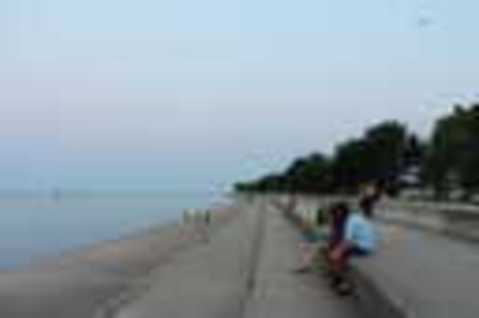 Photo 45 of 71