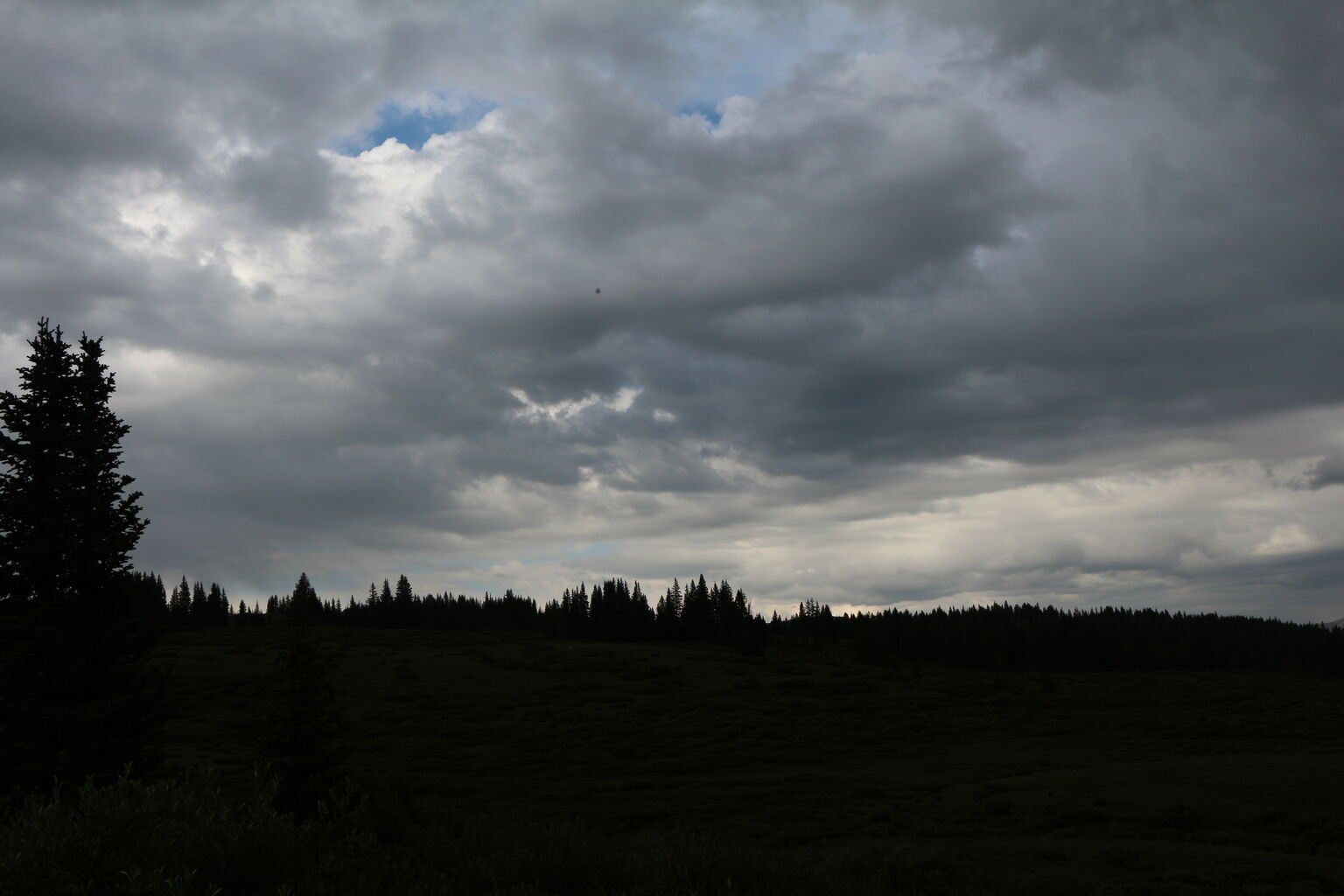 Photo 8 of 58