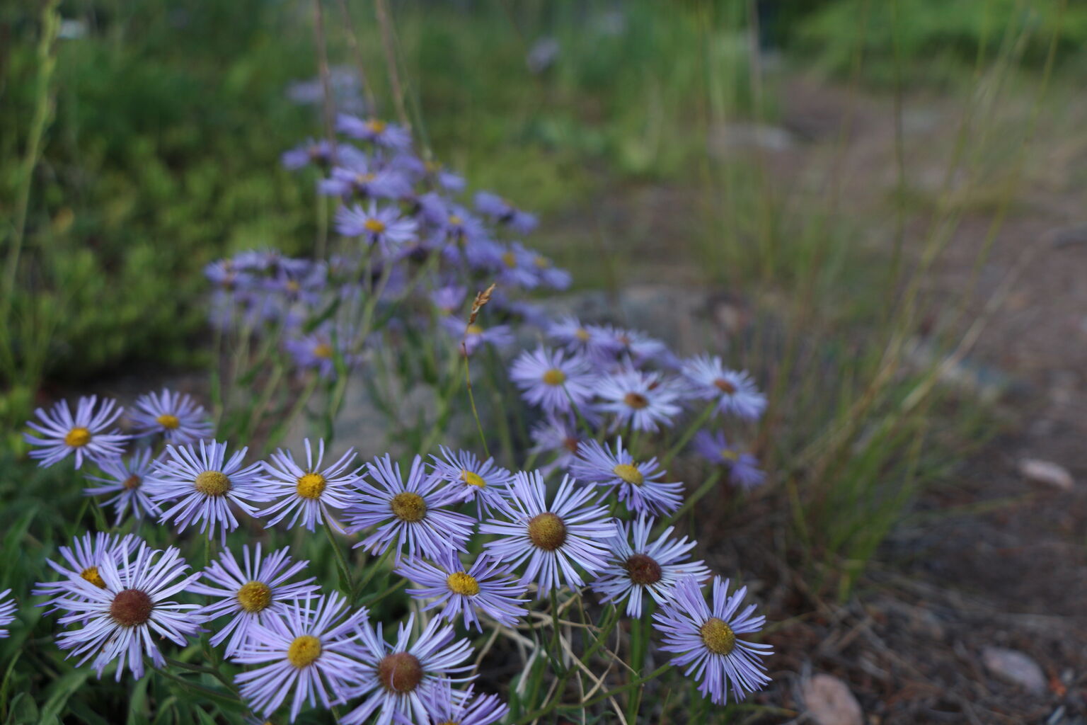 Photo 44 of 58