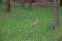 Photo 10 of 21
