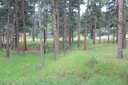 Photo 11 of 21