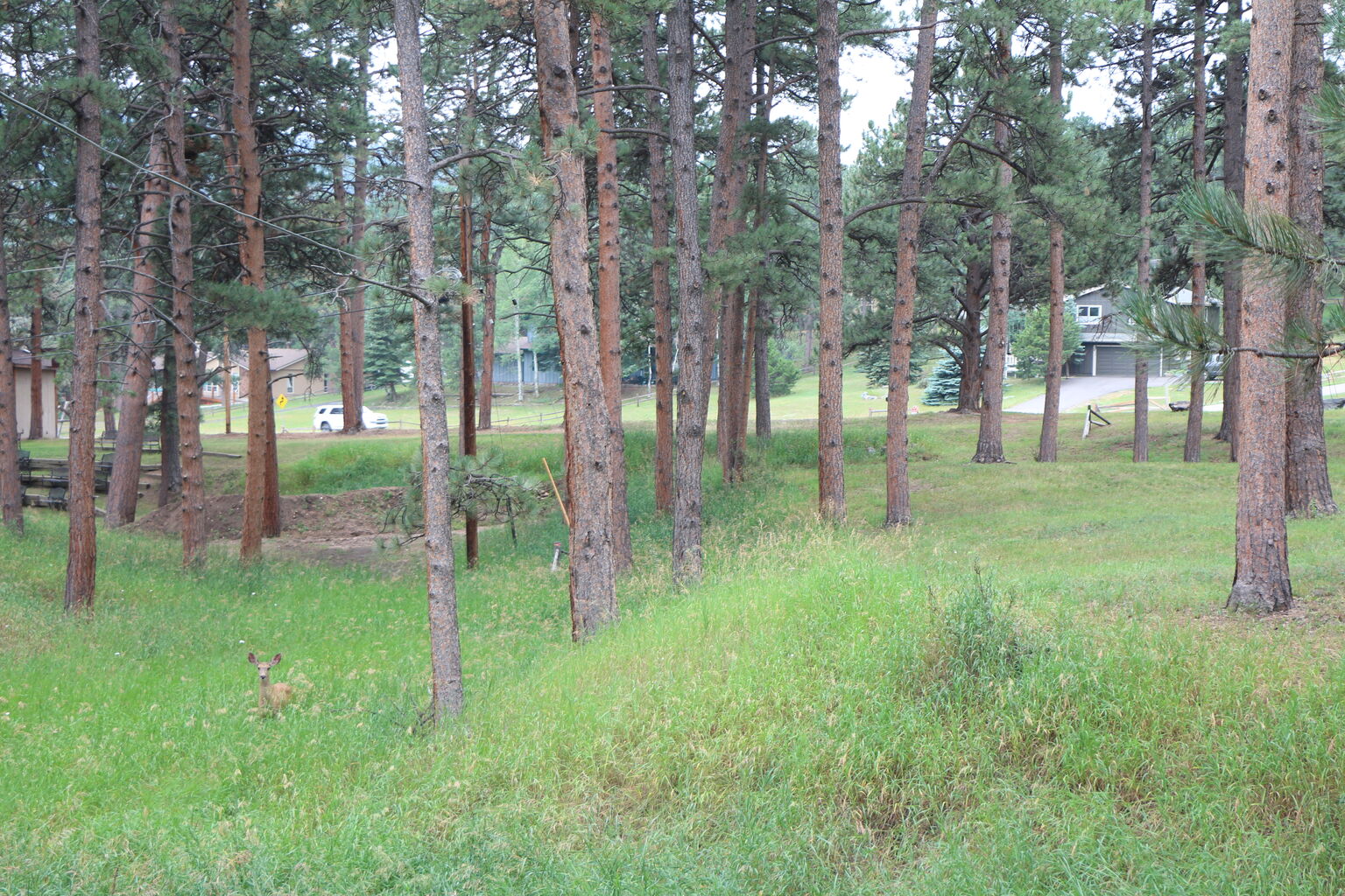 Photo 11 of 21
