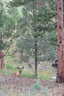 Photo 18 of 21