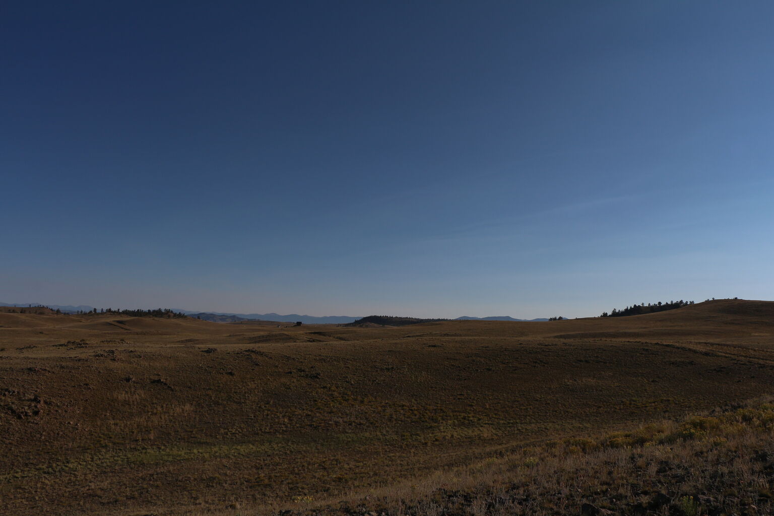 Photo 12 of 76