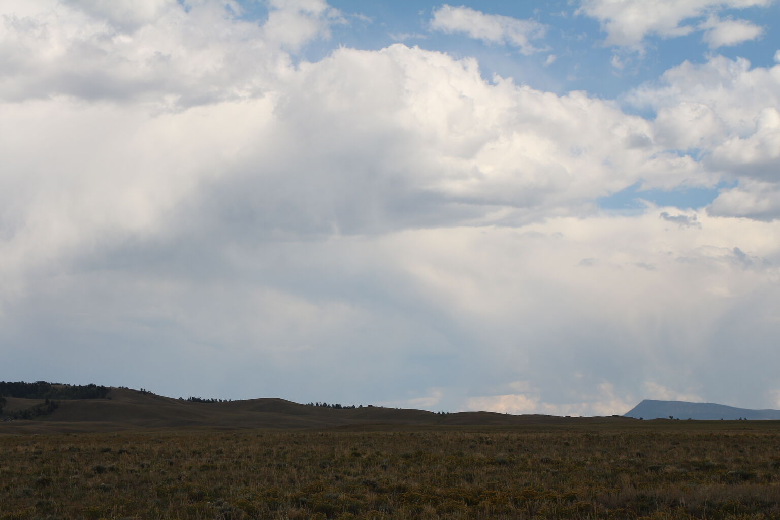 Photo 38 of 76